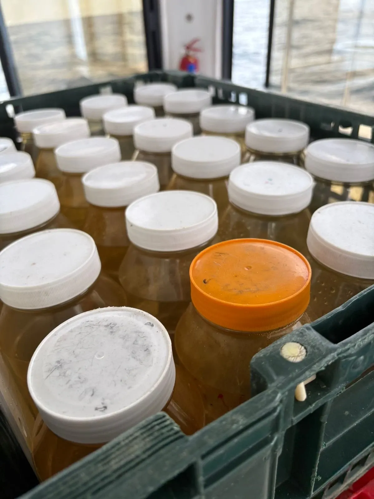 A crate of sample bottles on Vaquita's deck, each jar holding a seawater sample under a white screw cap with one orange-capped jar among them.