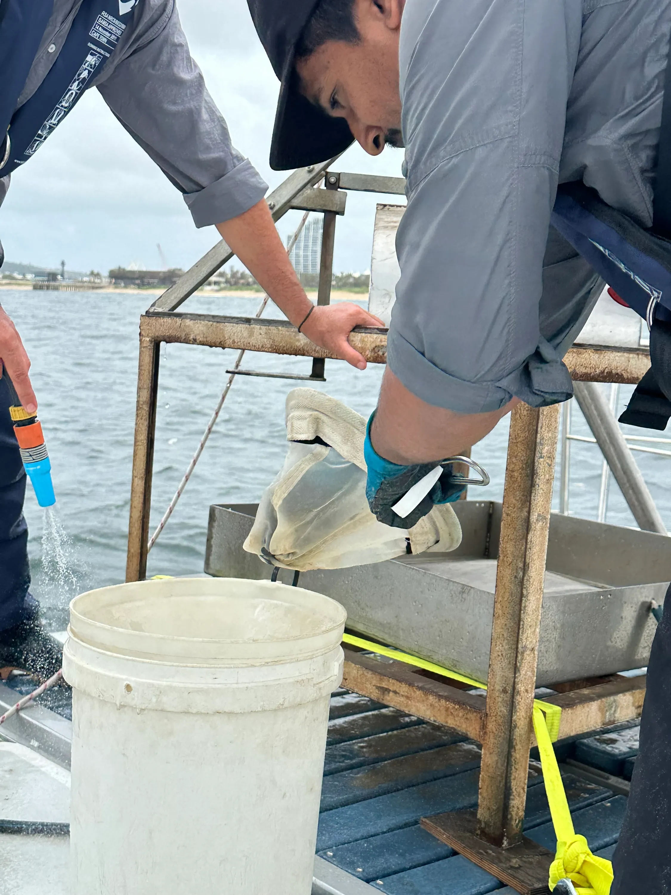 Crew decanting a sediment sample into the stainless workstation over a bucket on Vaquita's stern, rinsing the sampler with the Durban shoreline behind.